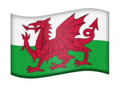 Welsh Flag - Red Dragon